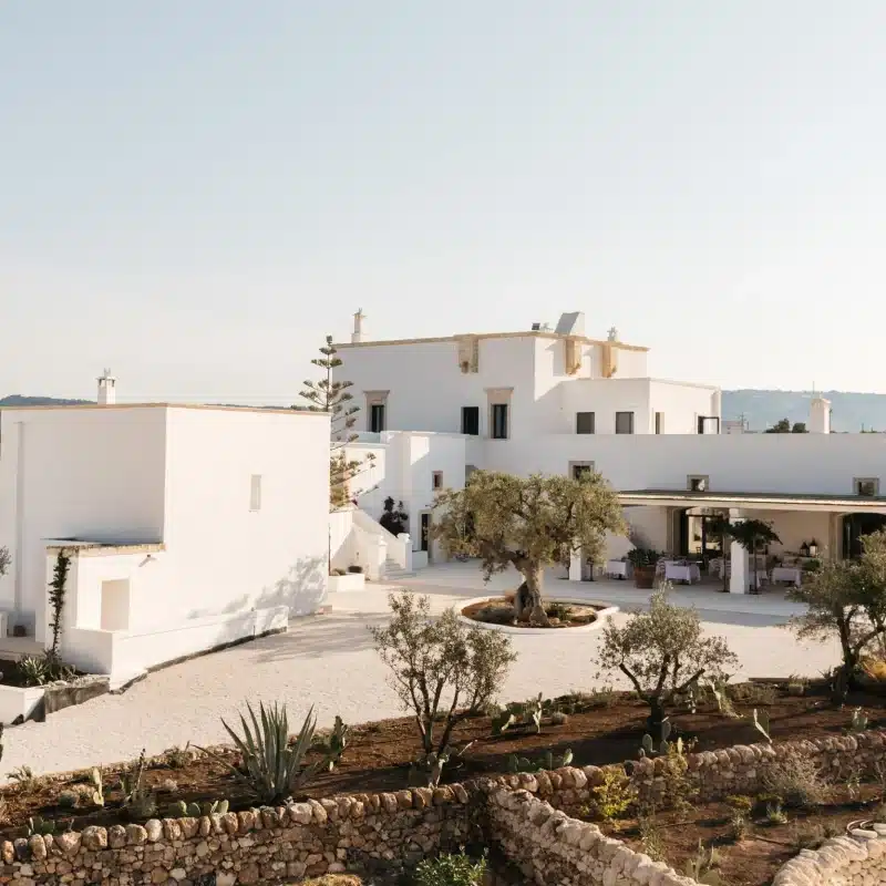 Masseria Calderisi wedding videography — olive groves and golden light, Puglia, Italy